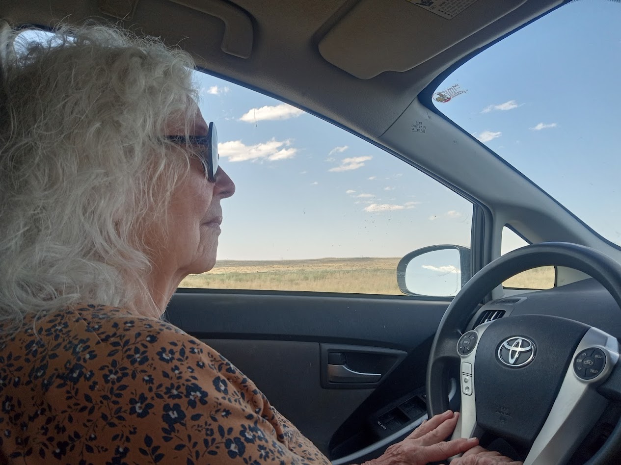 mom at the wheel